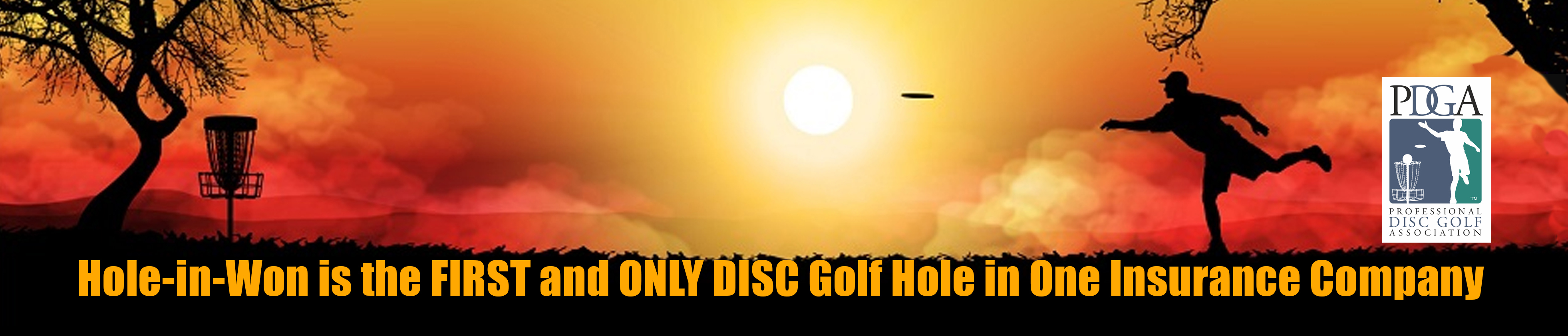 Disc Golf