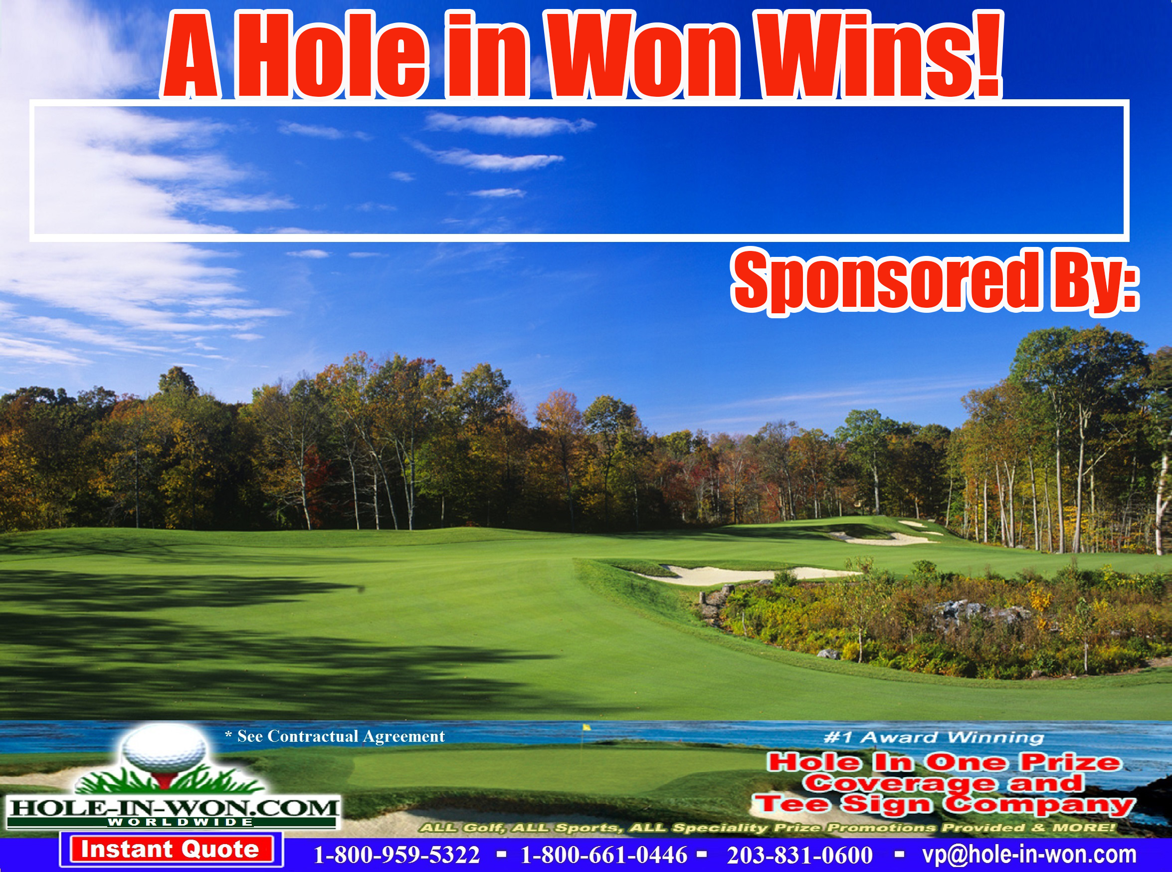 Hole in One Golf Tee Sign
